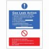 Gas Leak Action