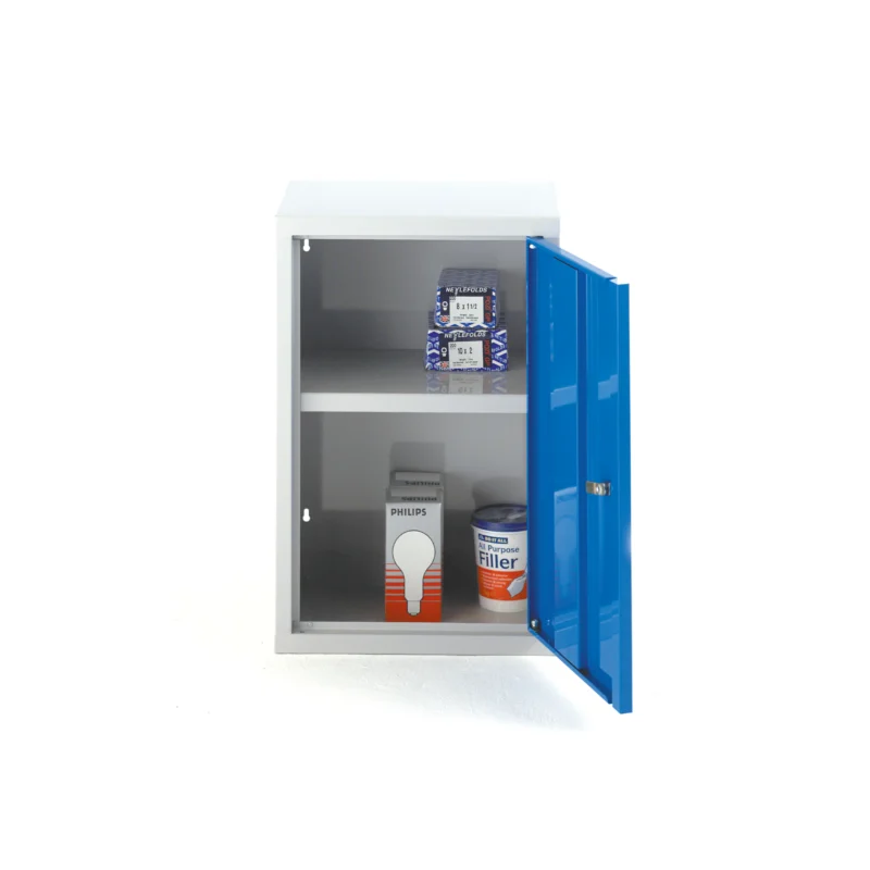 Industrial Wall Cabinet | 600H x 400W x 300D | Single Door