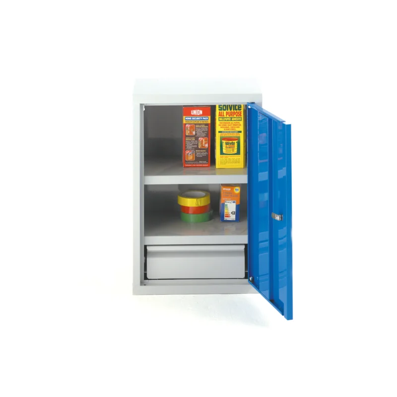 Industrial Wall Cabinet | 600H x 400W x 300D | Single Door