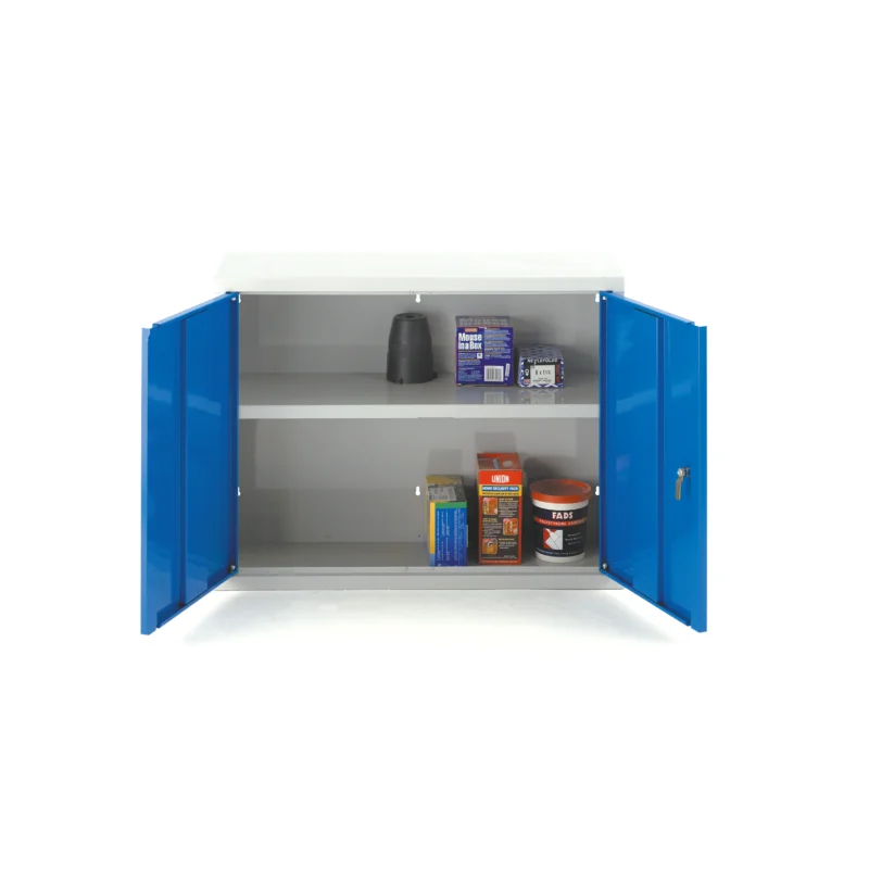 Industrial Wall Cabinet | 600H x 800W x 300D | Double Door