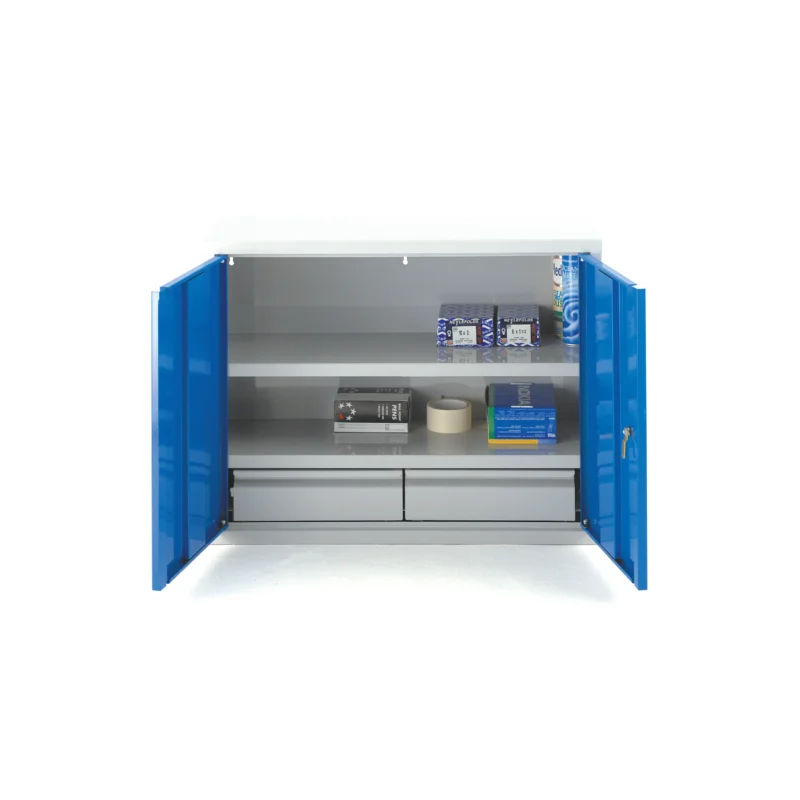 Industrial Wall Cabinet | 600H x 800W x 300D | Double Door