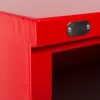 FlamStor COSHH Cabinet