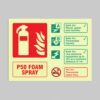 P50 Foam Spray Fire Extinguisher Identification - Safety Signs