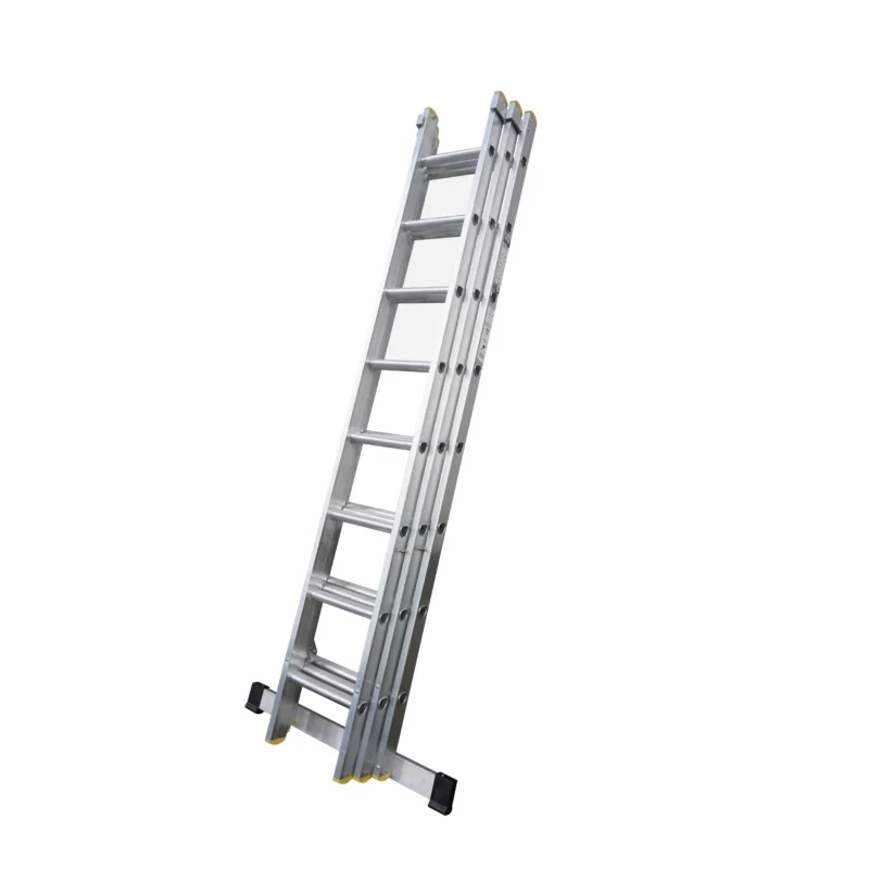 Lyte - Professional Trade Extension Ladders - NELT Series