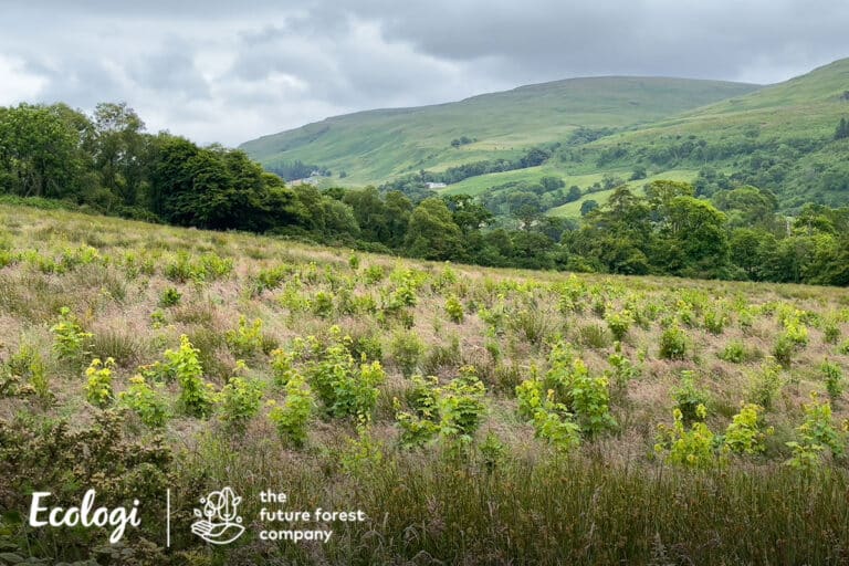 Ecologi sitevisit imagery ffc brisbanemains 1200x800 01