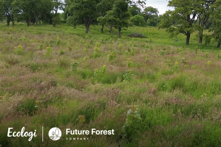 Ffc 1200x800 uk leadloch 02