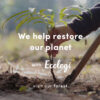 Message 1x1 forest 02 &bull; hse store