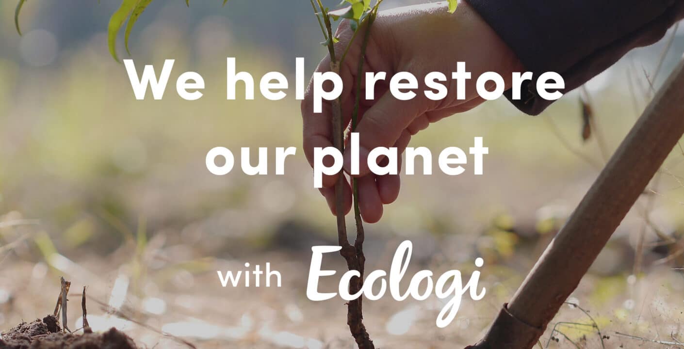 Message 1x1 forest 02