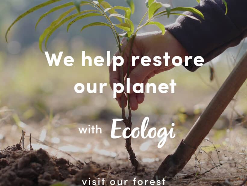 Message 1x1 forest 02