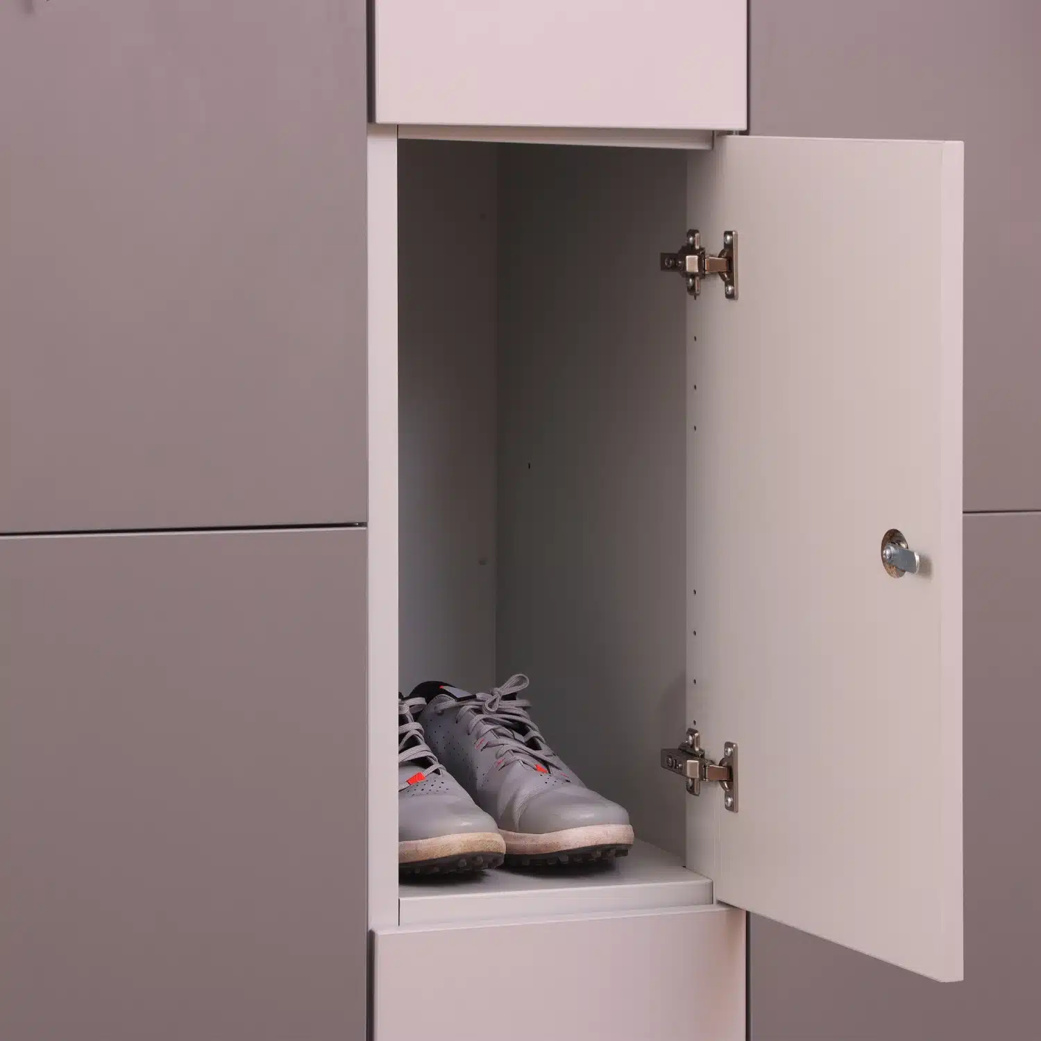 Qmp Mfc Plant On Door Lockers 3 Qmp mfc plant on door lockers - image 3